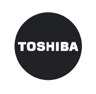Ремонт ноутбука Toshiba Одесса